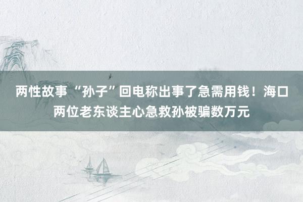 两性故事 “孙子”回电称出事了急需用钱！海口两位老东谈主心急救孙被骗数万元