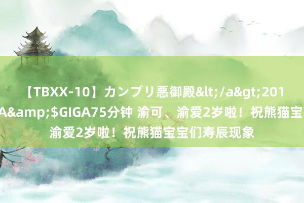 【TBXX-10】カンブリ悪御殿</a>2014-04-25GIGA&$GIGA75分钟 渝可、渝爱2岁啦！祝熊猫宝宝们寿辰现象