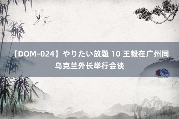 【DOM-024】やりたい放題 10 王毅在广州同乌克兰外长举行会谈