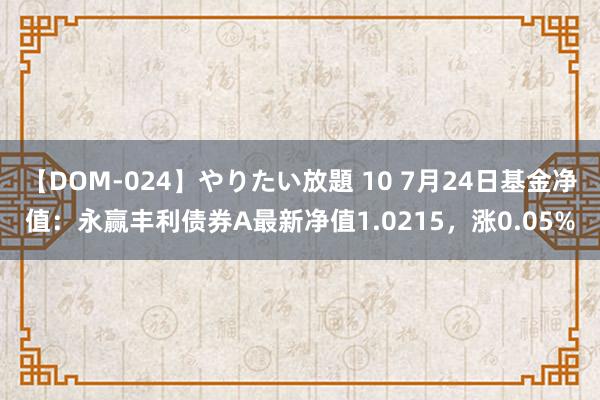 【DOM-024】やりたい放題 10 7月24日基金净值：永赢丰利债券A最新净值1.0215，涨0.05%