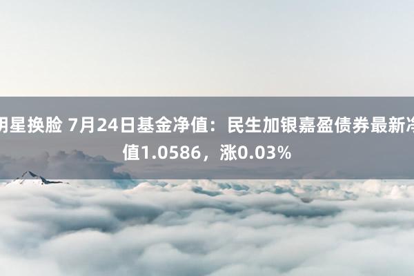 明星换脸 7月24日基金净值：民生加银嘉盈债券最新净值1.0586，涨0.03%