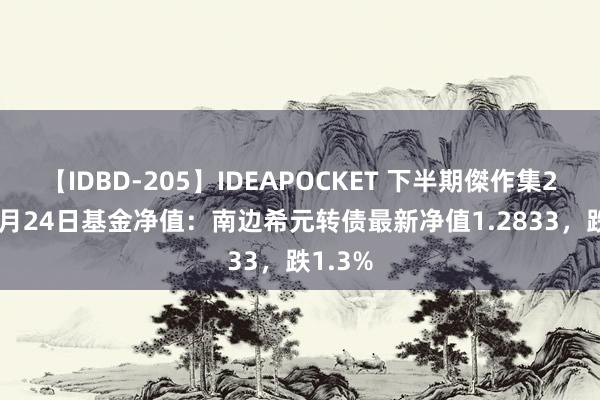 【IDBD-205】IDEAPOCKET 下半期傑作集2009 7月24日基金净值：南边希元转债最新净值1.2833，跌1.3%