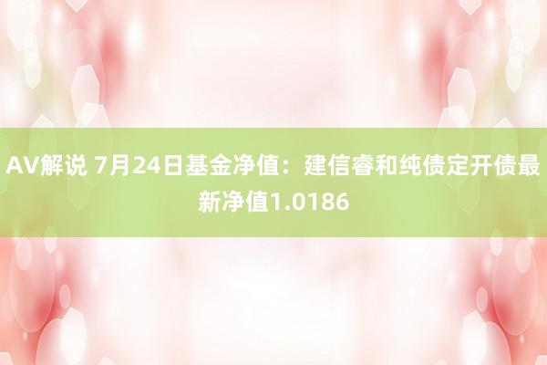 AV解说 7月24日基金净值：建信睿和纯债定开债最新净值1.0186