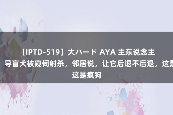 【IPTD-519】大ハード AYA 主东说念主哭诉，导盲犬被窥伺射杀，邻居说，让它后退不后退，这是疯狗