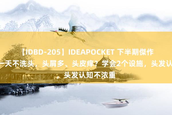 【IDBD-205】IDEAPOCKET 下半期傑作集2009 一天不洗头，头屑多、头皮痒？学会2个设施，头发认知不浓重