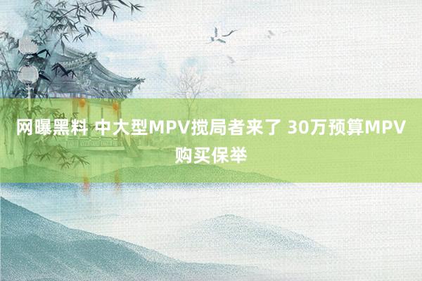 网曝黑料 中大型MPV搅局者来了 30万预算MPV购买保举