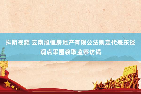 抖阴视频 云南旭恒房地产有限公法则定代表东谈观点采围袭取监察访谒