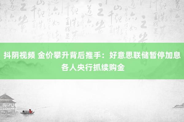 抖阴视频 金价攀升背后推手：好意思联储暂停加息 各人央行抓续购金