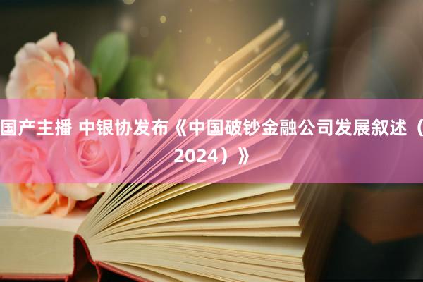 国产主播 中银协发布《中国破钞金融公司发展叙述（2024）》