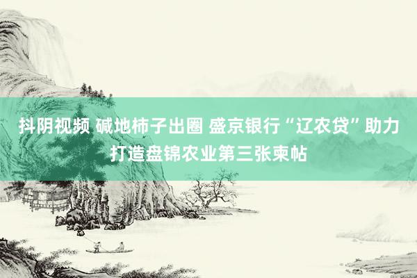 抖阴视频 碱地柿子出圈 盛京银行“辽农贷”助力打造盘锦农业第三张柬帖