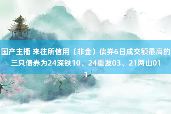 国产主播 来往所信用（非金）债券6日成交额最高的三只债券为24深铁10、24重发03、21两山01