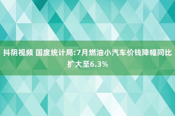 抖阴视频 国度统计局:7月燃油小汽车价钱降幅同比扩大至6.3%