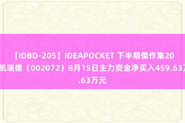 【IDBD-205】IDEAPOCKET 下半期傑作集2009 凯瑞德（002072）8月15日主力资金净买入459.63万元