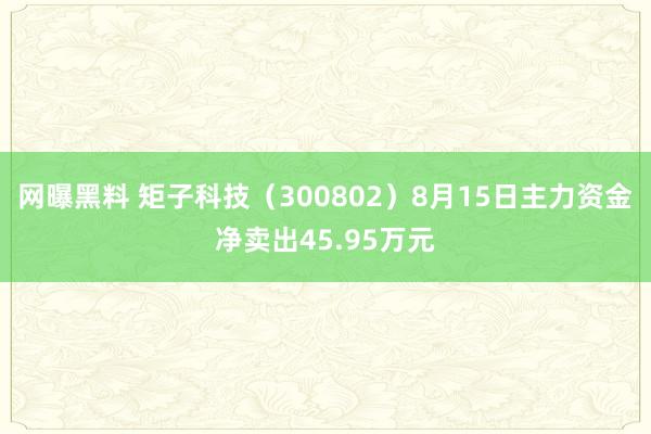 网曝黑料 矩子科技（300802）8月15日主力资金净卖出45.95万元