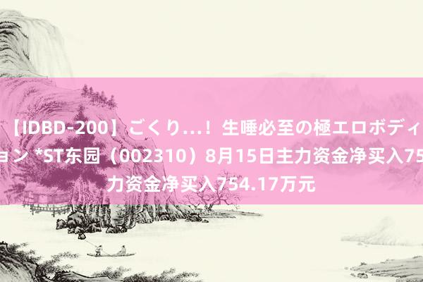 【IDBD-200】ごくり…！生唾必至の極エロボディセレクション *ST东园（002310）8月15日主力资金净买入754.17万元