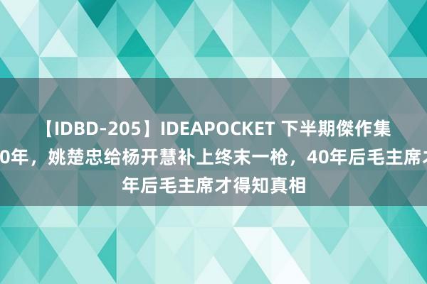 【IDBD-205】IDEAPOCKET 下半期傑作集2009 1930年，姚楚忠给杨开慧补上终末一枪，40年后毛主席才得知真相