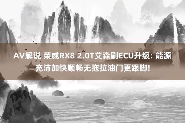 AV解说 荣威RX8 2.0T艾森刷ECU升级: 能源充沛加快顺畅无拖拉油门更跟脚!