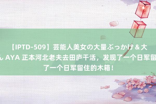 【IPTD-509】芸能人美女の大量ぶっかけ＆大量ごっくん AYA 正本河北老夫去田庐干活，发现了一个日军留住的木箱！