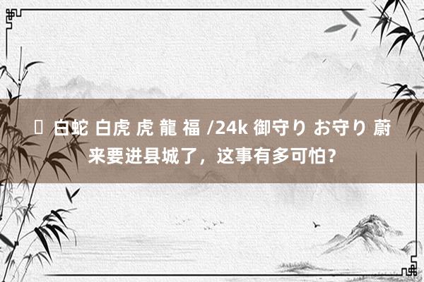 ✨白蛇 白虎 虎 龍 福 /24k 御守り お守り 蔚来要进县城了，这事有多可怕？