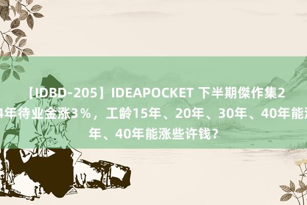 【IDBD-205】IDEAPOCKET 下半期傑作集2009 2024年待业金涨3％，工龄15年、20年、30年、40年能涨些许钱？