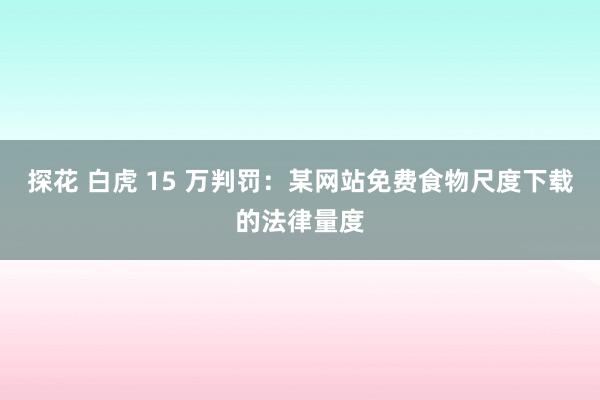 探花 白虎 15 万判罚：某网站免费食物尺度下载的法律量度