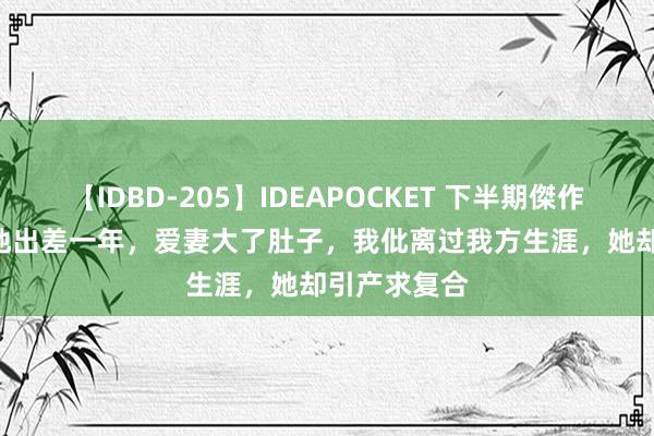 【IDBD-205】IDEAPOCKET 下半期傑作集2009 外地出差一年，爱妻大了肚子，我仳离过我方生涯，她却引产求复合