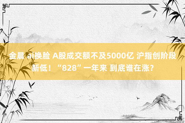 金晨 ai换脸 A股成交额不及5000亿 沪指创阶段新低！“828”一年来 到底谁在涨？