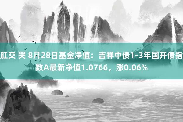 肛交 哭 8月28日基金净值：吉祥中债1-3年国开债指数A最新净值1.0766，涨0.06%