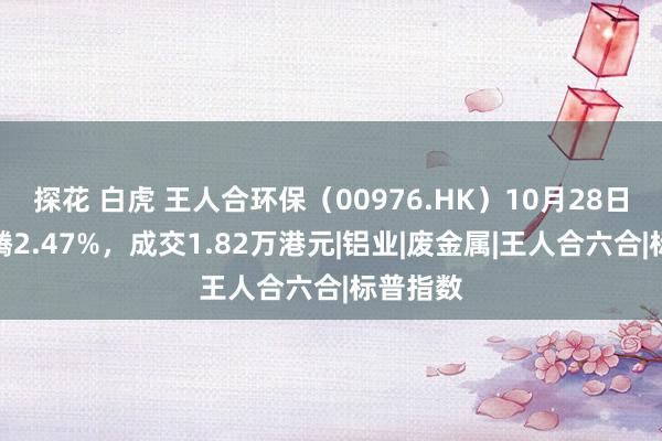 探花 白虎 王人合环保（00976.HK）10月28日收盘飞腾2.47%，成交1.82万港元|铝业|废金属|王人合六合|标普指数