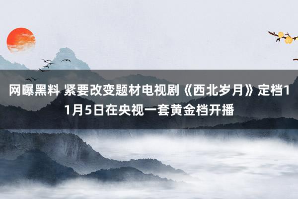 网曝黑料 紧要改变题材电视剧《西北岁月》定档11月5日在央视一套黄金档开播